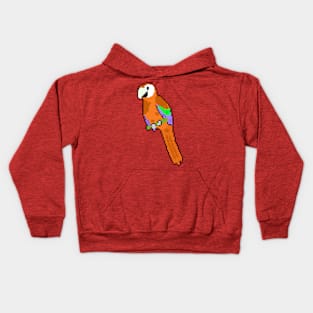 Enchanting Feathery Friends Kids Hoodie